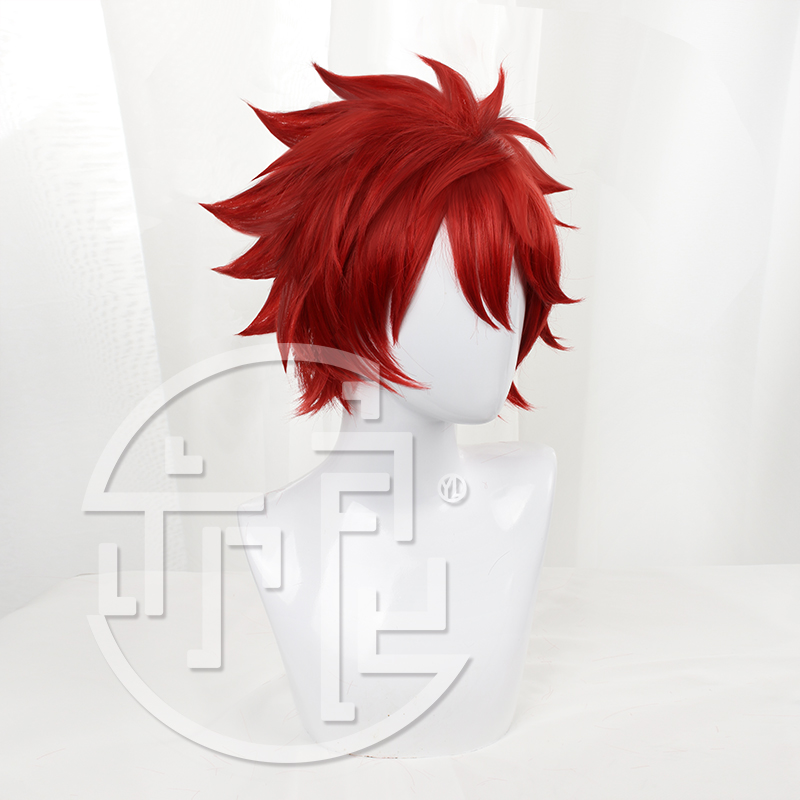Anime SK8 de Infinity Reki Cos - Anime Cosplay Red Hair recensie en prijs