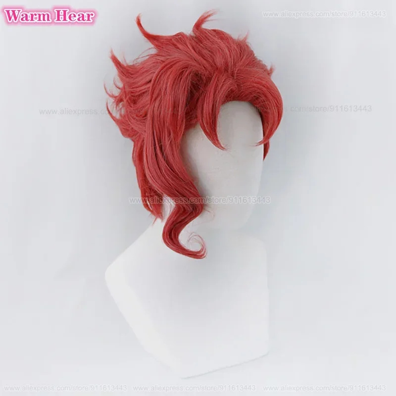 Noriaki Kakyoin Synthetische U - Anime Cosplay Red Hair recensie en prijs