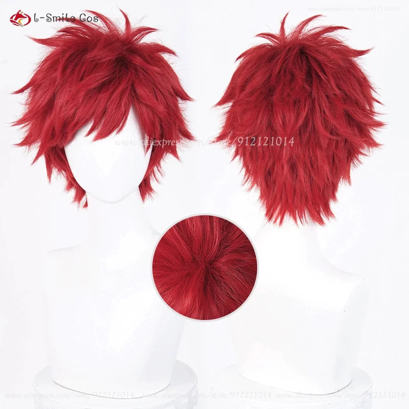 Anime Reinhard Van Astrea Cosp - Anime Cosplay Red Hair recensie en prijs