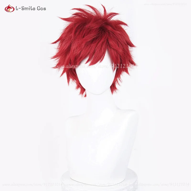 Anime Reinhard Van Astrea Cosp - Anime Cosplay Red Hair recensie en prijs