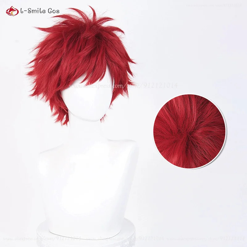 Anime Reinhard Van Astrea Cosp - Anime Cosplay Red Hair recensie en prijs